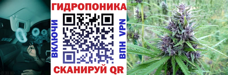 Где купить наркотики Алушта Меф 