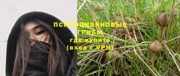крисы Алексеевка
