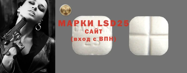 гидра Алзамай