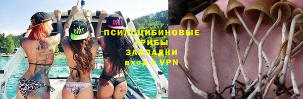 гидра Алзамай