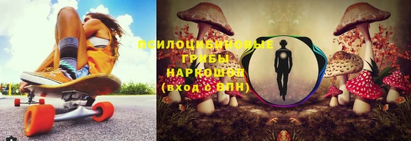 гидра Алзамай