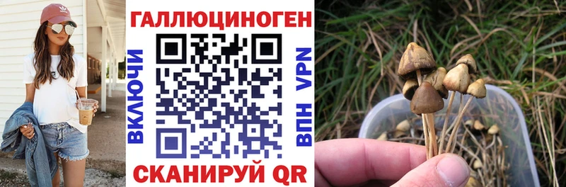 ссылка на мегу маркетплейс  Алушта  Псилоцибиновые грибы MAGIC MUSHROOMS  магазин продажи  