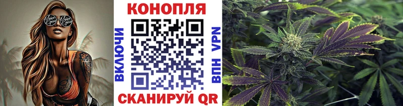 МАРИХУАНА SATIVA & INDICA  цены наркотик  Алушта 